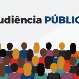 audiencia-publica_(860).png