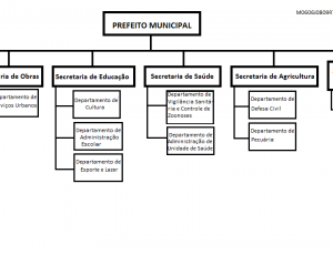7_Meuorganograma.png